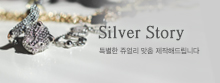 Silver Story